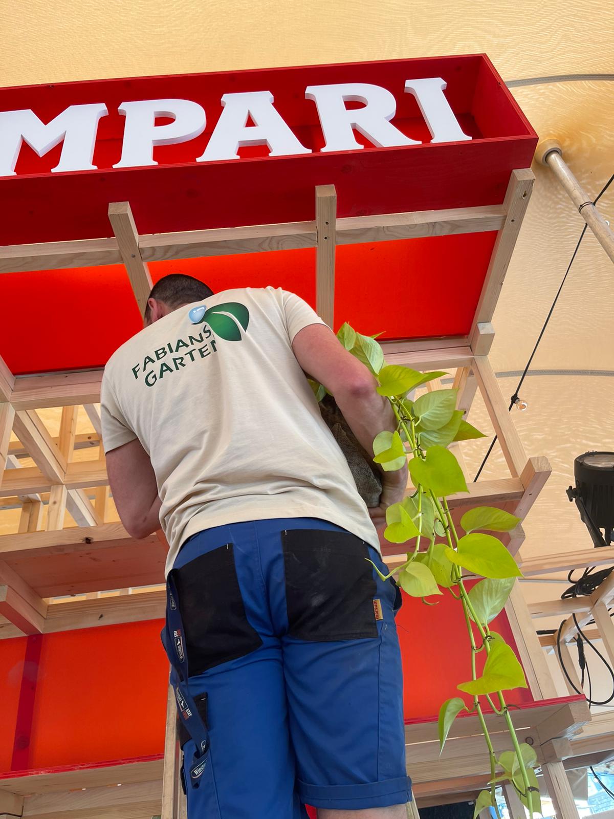 Ein Mann mit einem T-Shirt von 'Fabians Garten' befestigt eine Pflanze an einer Holzkonstruktion unter einem roten Schild mit der Aufschrift 'CAMPARI'.