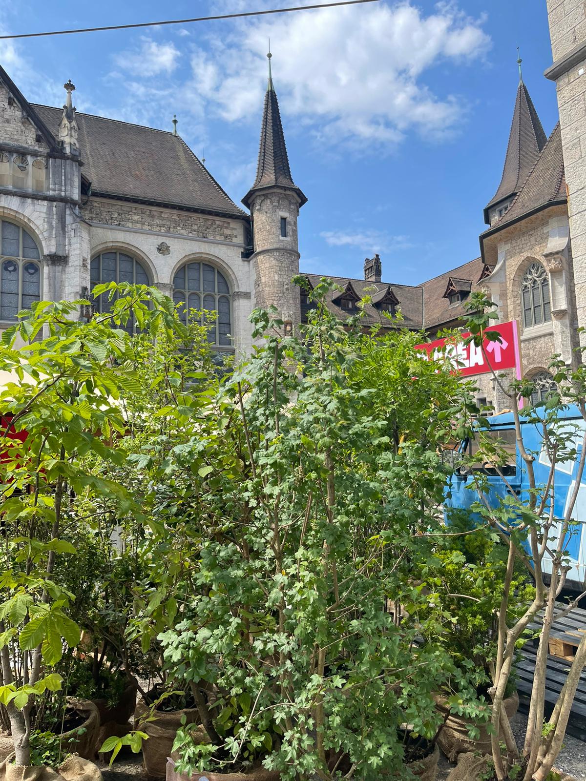 Blick auf Gebäude mit Türmen und Fenster, im Vordergrund eine Vielzahl von Pflanzen in Töpfen, unter blauem Himmel.