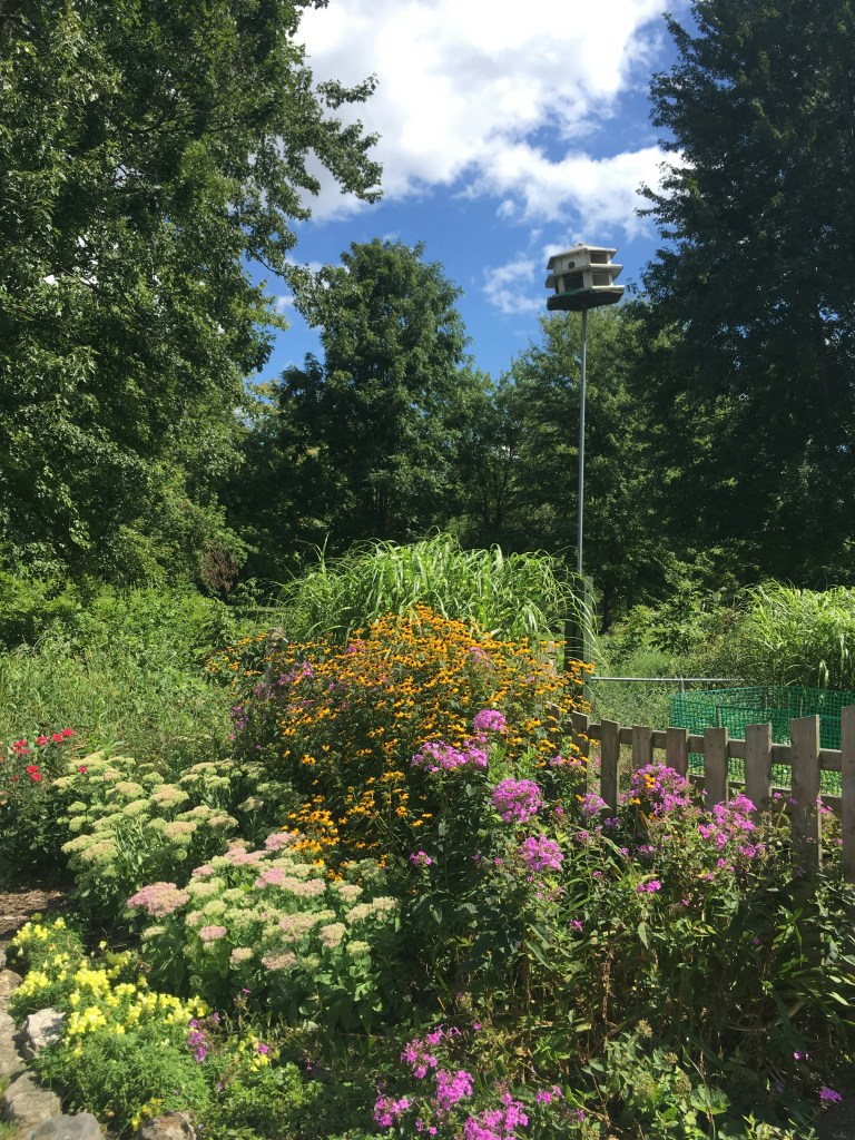 Ein blühender Garten mit bunten Blumen wie Gelb, Pink und Lila, umgeben von hohen Bäumen und Gras. Im Hintergrund steht ein Vogelhaus auf einem Pfahl unter blauem Himmel mit einigen Wolken.